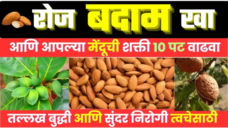 Benefits of almond in Marathi