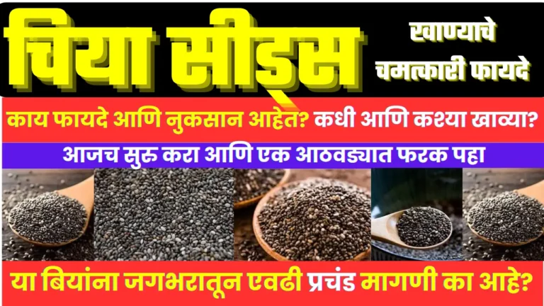 Benefits of Chia seeds in Marathi